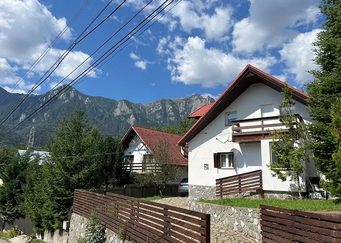 Rustic House Busteni